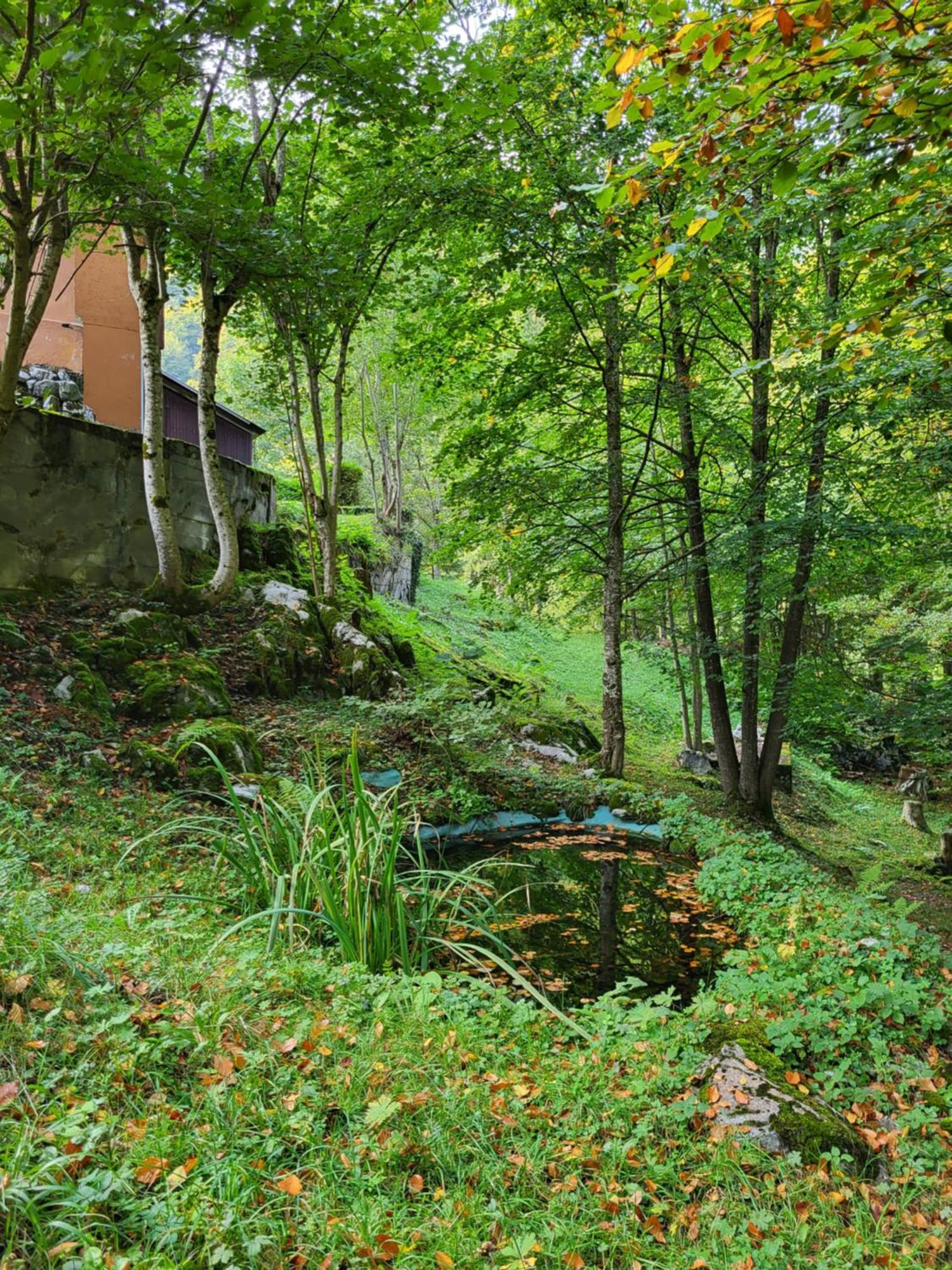 Ferienhaus Baerschwendi Lungern Extérieur photo